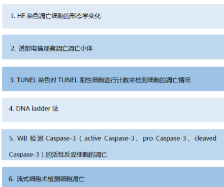 細(xì)胞、組織TUNEL凋亡染色實(shí)驗(yàn)服務(wù)