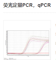 熒光定量PCR，qPCR實(shí)驗(yàn)服務(wù)
